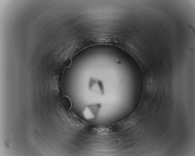 X0000100230512200806061412