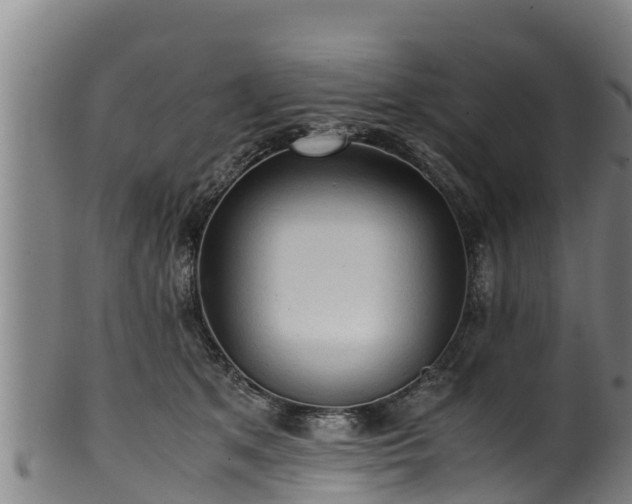 X0000100230513200806061412