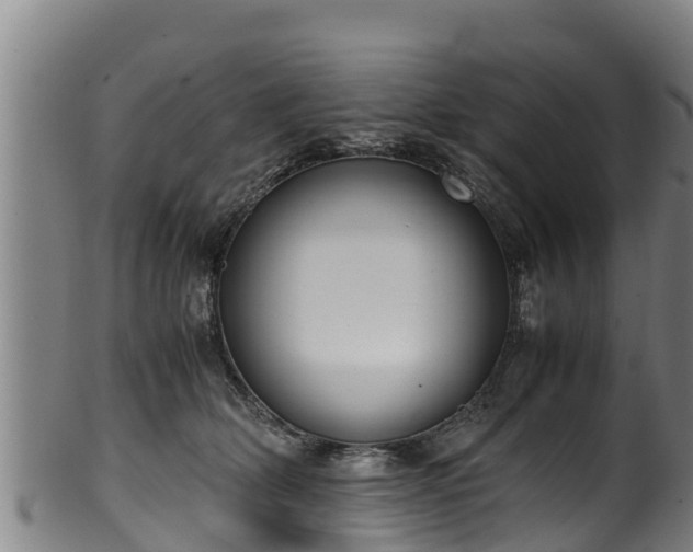 X0000100230514200806061412