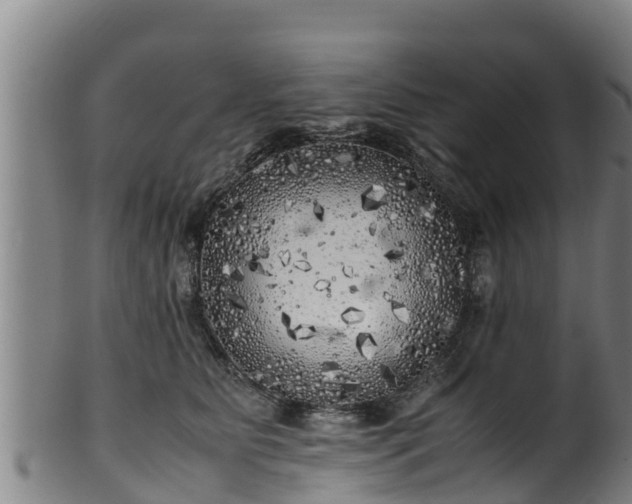 X0000100230515200806061412