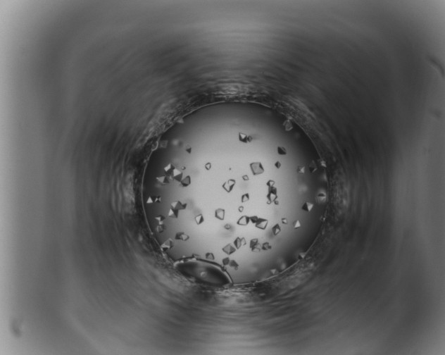 X0000100230516200806061412