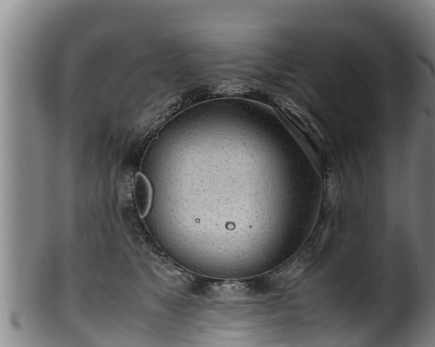 X0000100230517200806061412