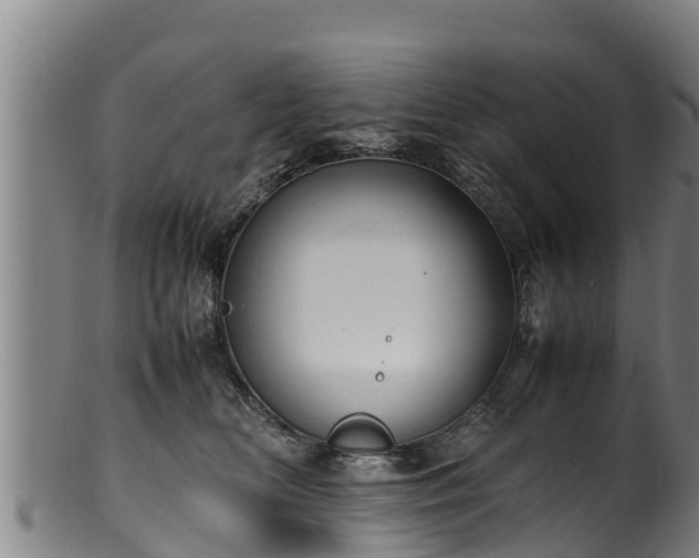 X0000100230518200806061412