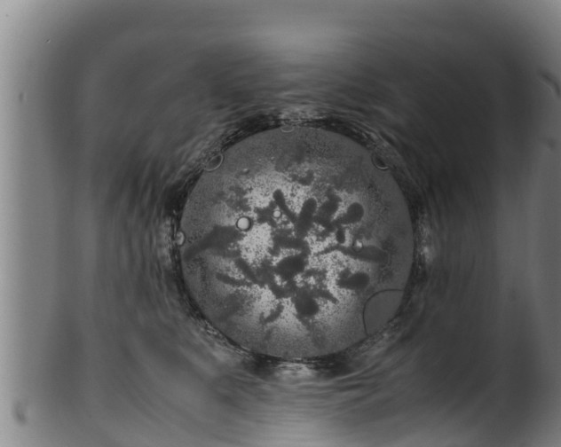 X0000100230519200806061412