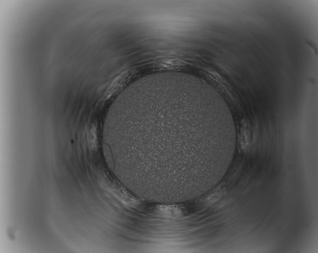 X0000100230520200806061412