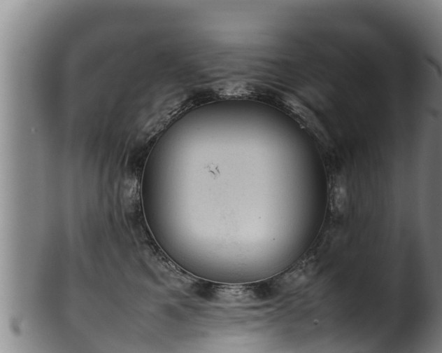 X0000100230521200806061412