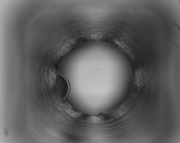 X0000100230522200806061412