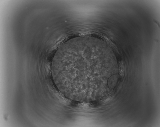 X0000100230523200806061412