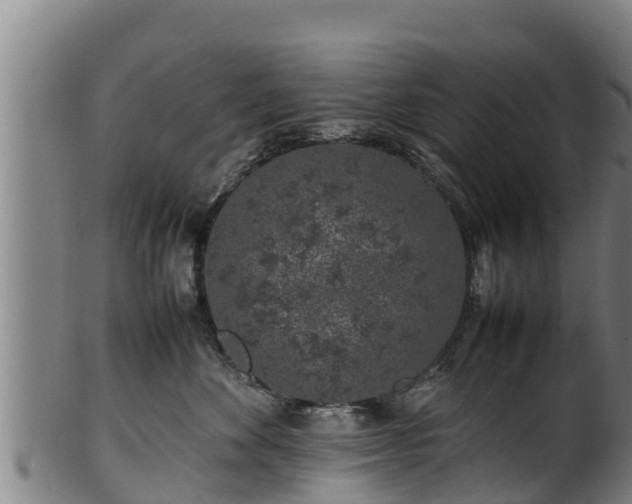 X0000100230524200806061412