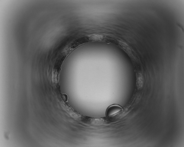 X0000100230525200806061412