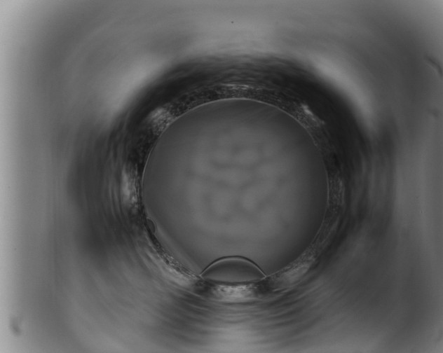 X0000100230526200806061412