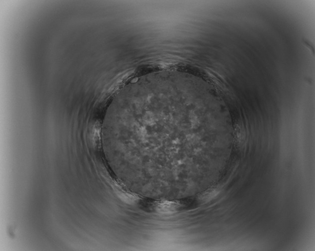 X0000100230527200806061412