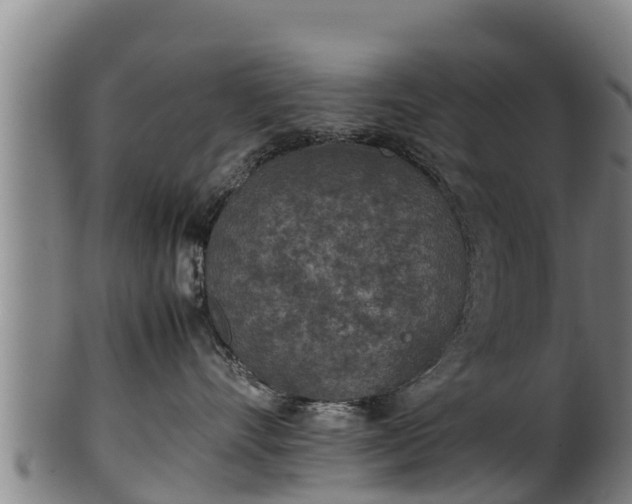 X0000100230528200806061412