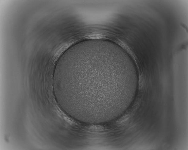 X0000100230529200806061411