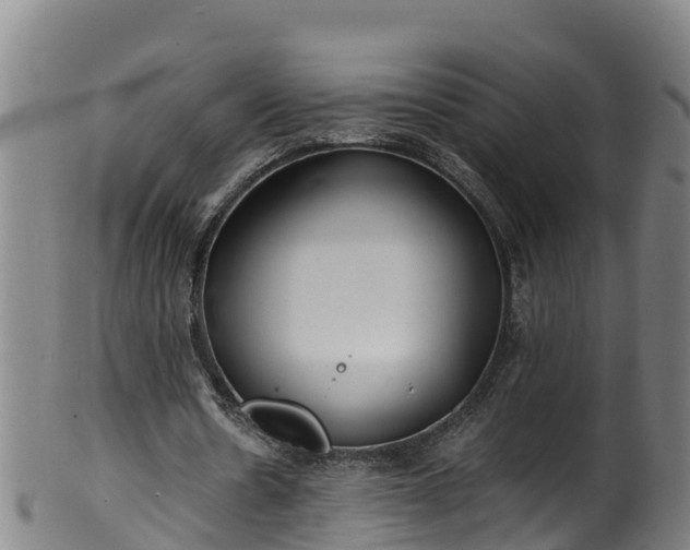 X0000100230530200806061411