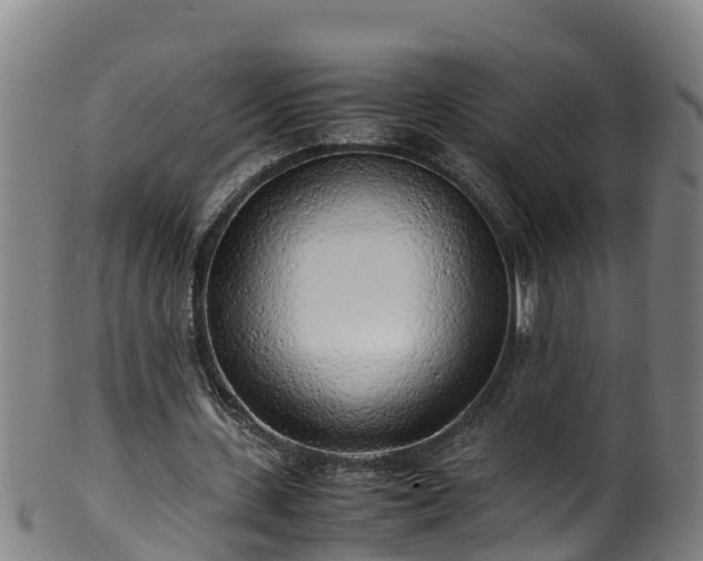 X0000100230531200806061411