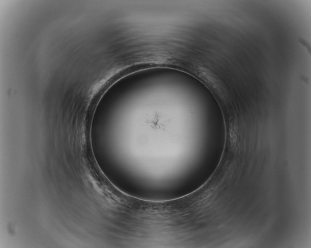 X0000100230532200806061411