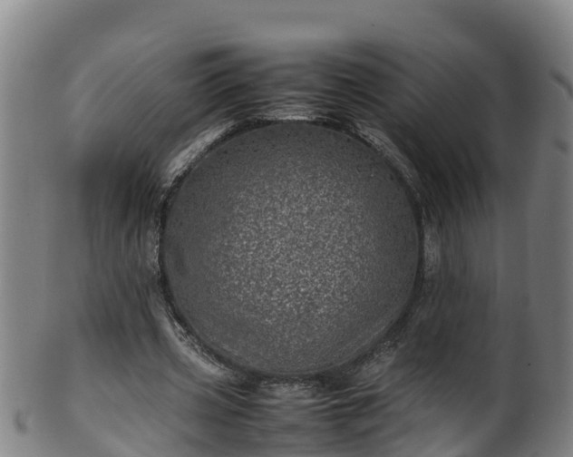 X0000100230533200806061411