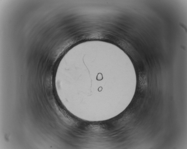 X0000100230534200806061411