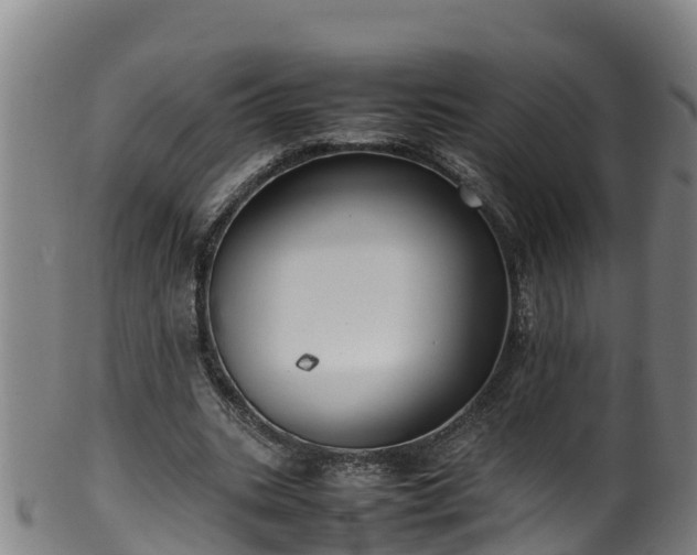X0000100230535200806061412
