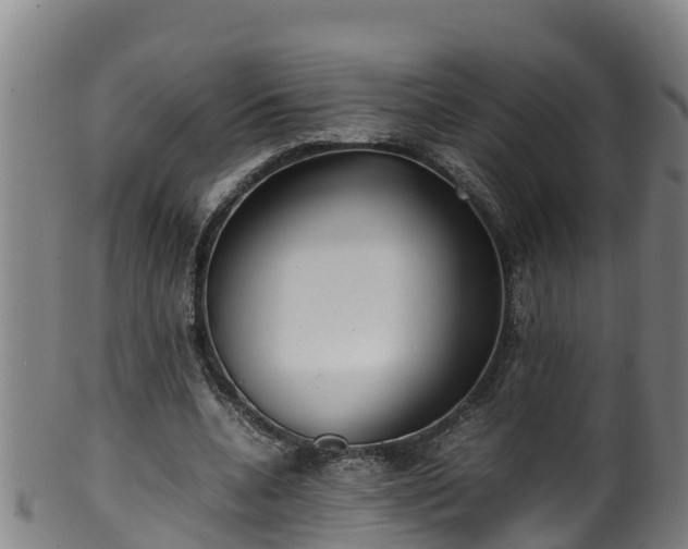 X0000100230536200806061412