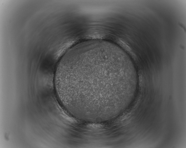 X0000100230537200806061412