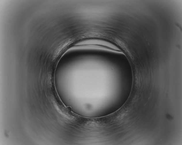 X0000100230538200806061412