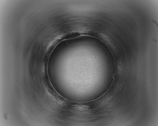 X0000100230539200806061412