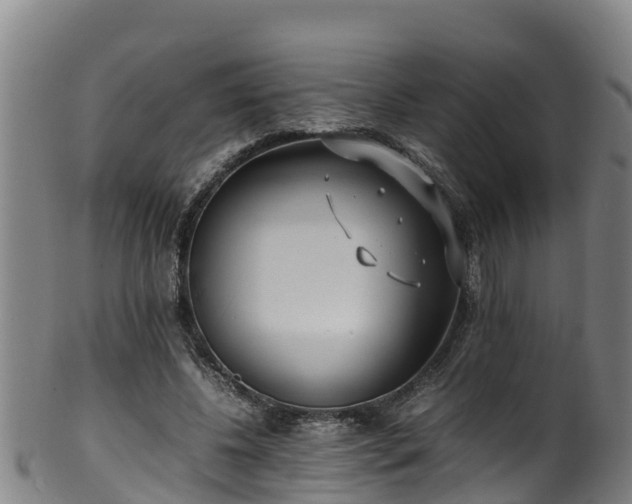 X0000100230540200806061412