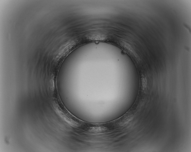 X0000100230541200806061412