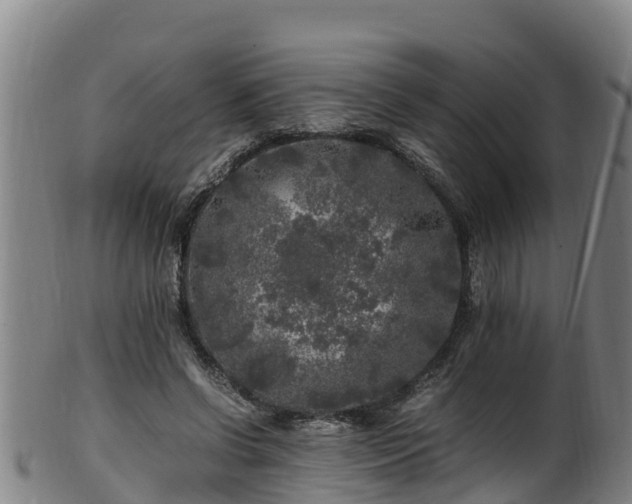 X0000100230542200806061412