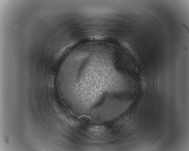 X0000100230543200806061412