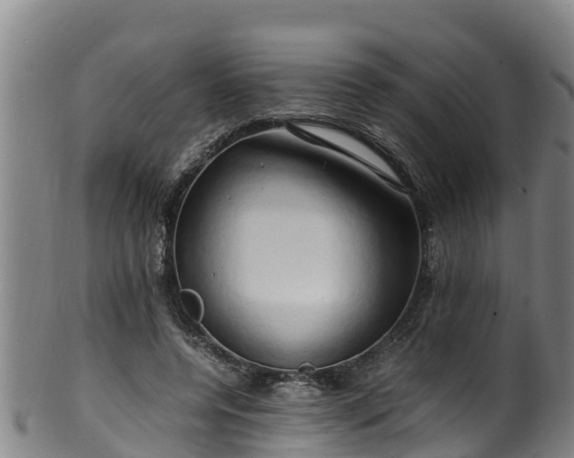 X0000100230544200806061412