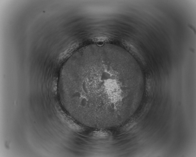 X0000100230545200806061412