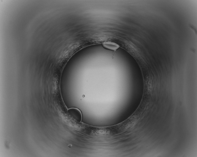 X0000100230546200806061412