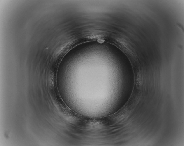 X0000100230547200806061412