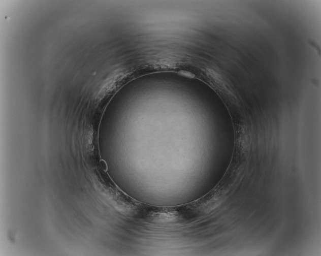 X0000100230548200806061412