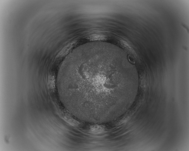 X0000100230549200806061412