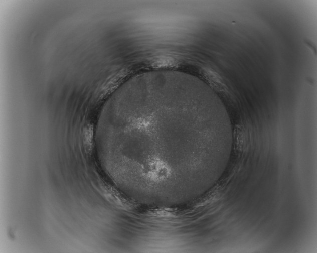 X0000100230550200806061412