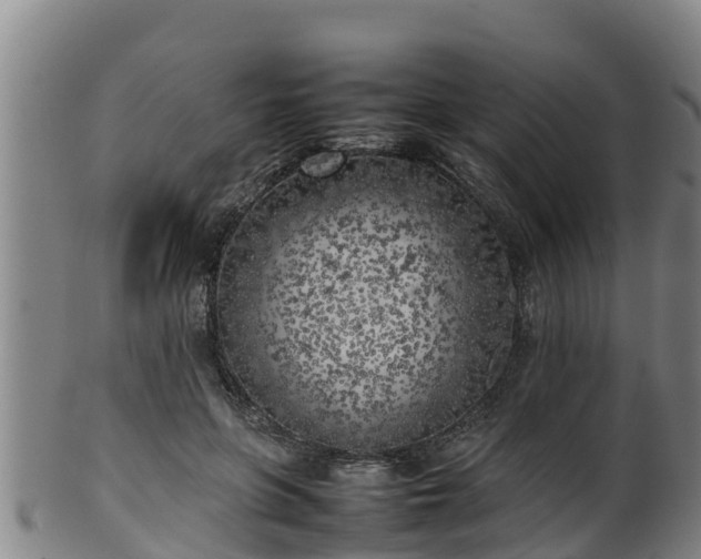 X0000100230551200806061412