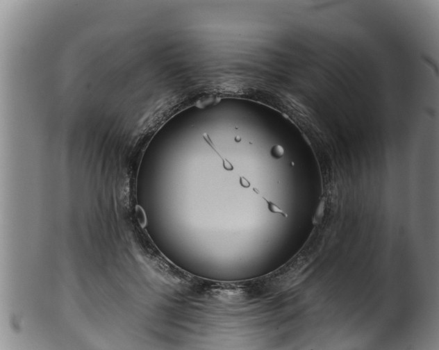 X0000100230552200806061412