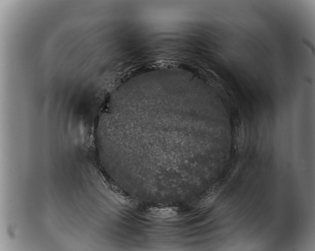 X0000100230553200806061412