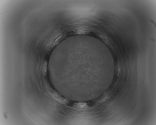 X0000100230554200806061412