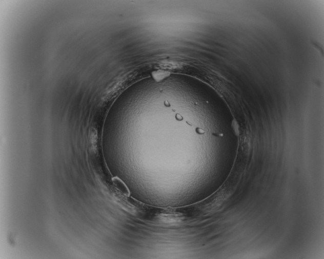 X0000100230556200806061412