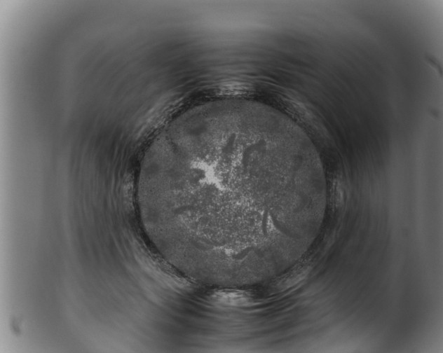 X0000100230557200806061412