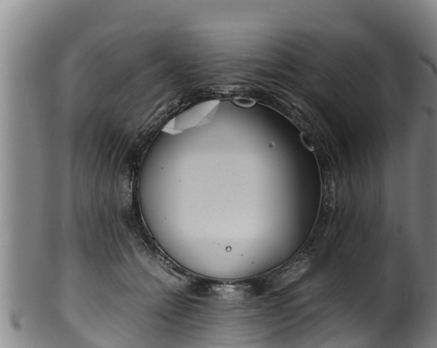 X0000100230558200806061412