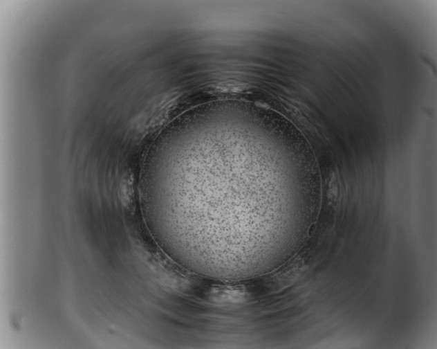 X0000100230559200806061412