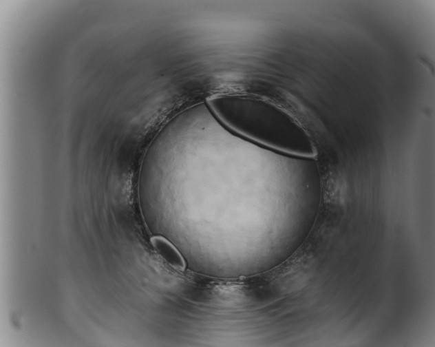 X0000100230560200806061412