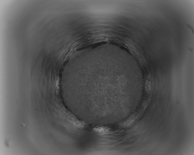 X0000100230561200806061412