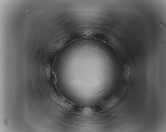 X0000100230562200806061412